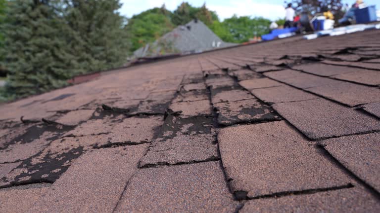 Fast & Reliable Emergency Roof Repairs in Shanor Northvue, PA